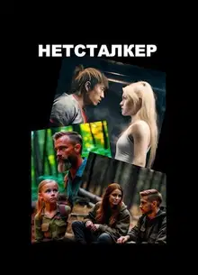 Нетсталкер (СИ)