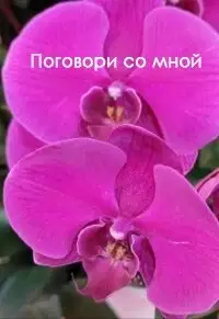 Поговори со мной (СИ)