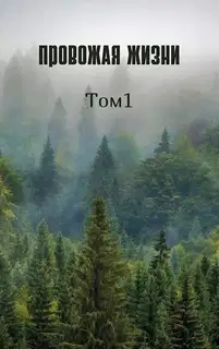 Провожая жизни. Том 1 (СИ)