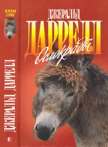 Ослокрады