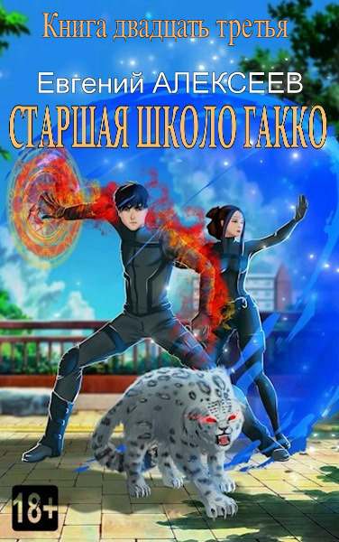 Старшая школа Гакко #23