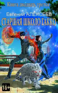 Старшая школа Гакко #23