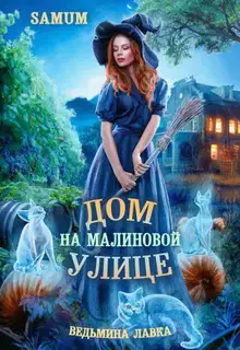 Дом на Малиновой улице (СИ)