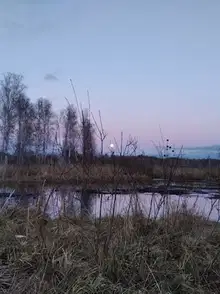 Утиная охота