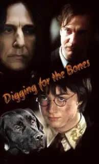 Digging for the Bones