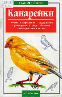 Канарейки