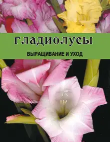 Гладиолусы. Выращивание и уход