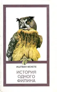 История одного филина