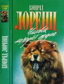 Человек находит друга. Кольцо царя Соломона