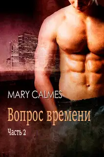 Вопрос времени. Часть 2