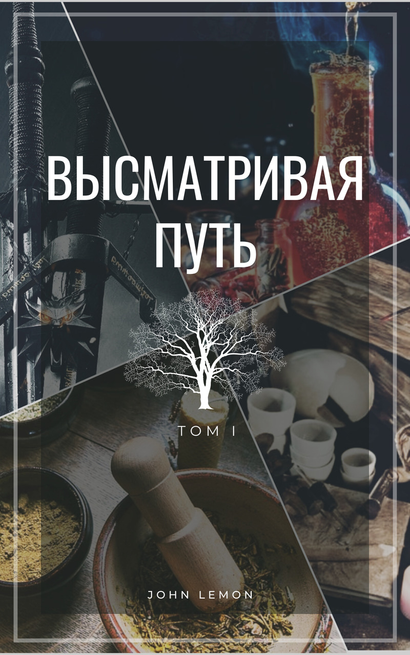 Высматривая путь. Том I (СИ)