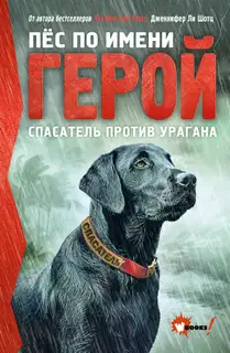 Спасатель против урагана