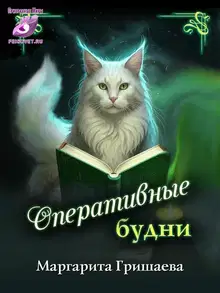 Оперативные будни