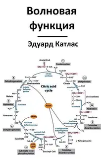 Волновая функция