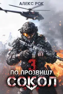 По прозвищу «Сокол». Том 3