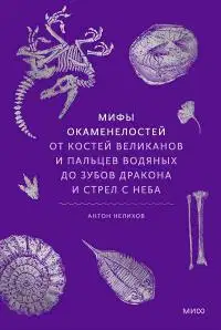 Мифы окаменелостей