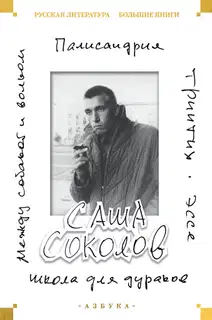 Школа для дураков. Между собакой и волком. Палисандрия. Эссе. Триптих