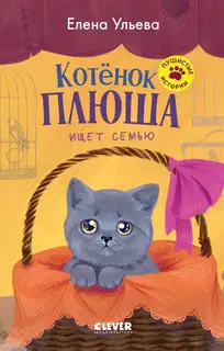 Котенок Плюша ищет семью