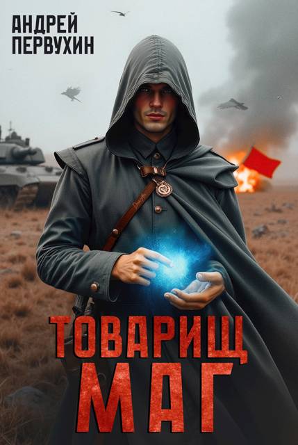 Товарищ маг. Книга первая