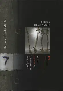 Том 7 (дополнительный)