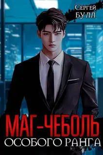 Маг-чеболь особого ранга