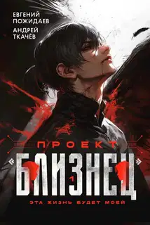 Проект «Близнец»