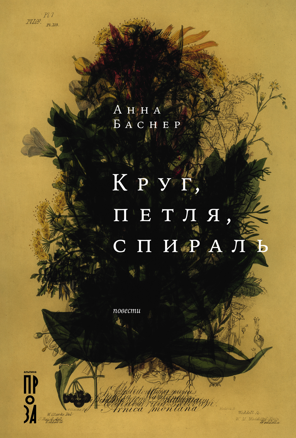 Круг, петля, спираль