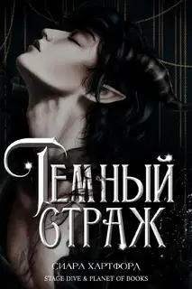 Темный Страж