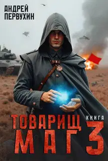 Товарищ маг. Книга третья