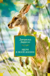 Звери в моей жизни. Путь кенгуренка. Поймайте мне колобуса. Поместье-зверинец