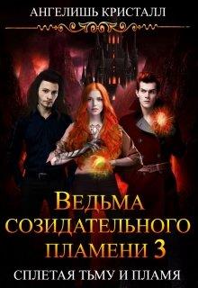 Ведьма созидательного пламени. Книга 3