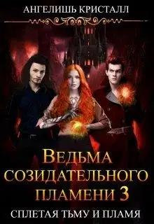 Ведьма созидательного пламени. Книга 3