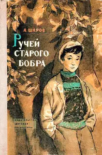 Ручей старого бобра