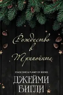 Рождество в Трипойнте