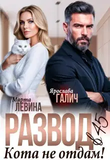 Развод в 45. Кота не отдам!
