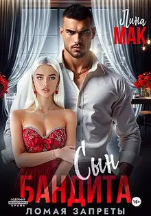 Сын бандита. Ломая запреты