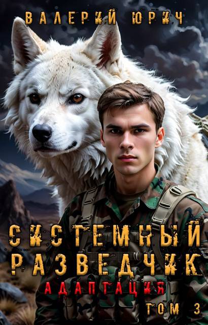 Системный разведчик. Адаптация. Том 3
