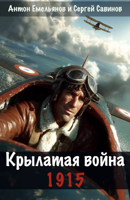 Крылатая война. 1915. Книга 1