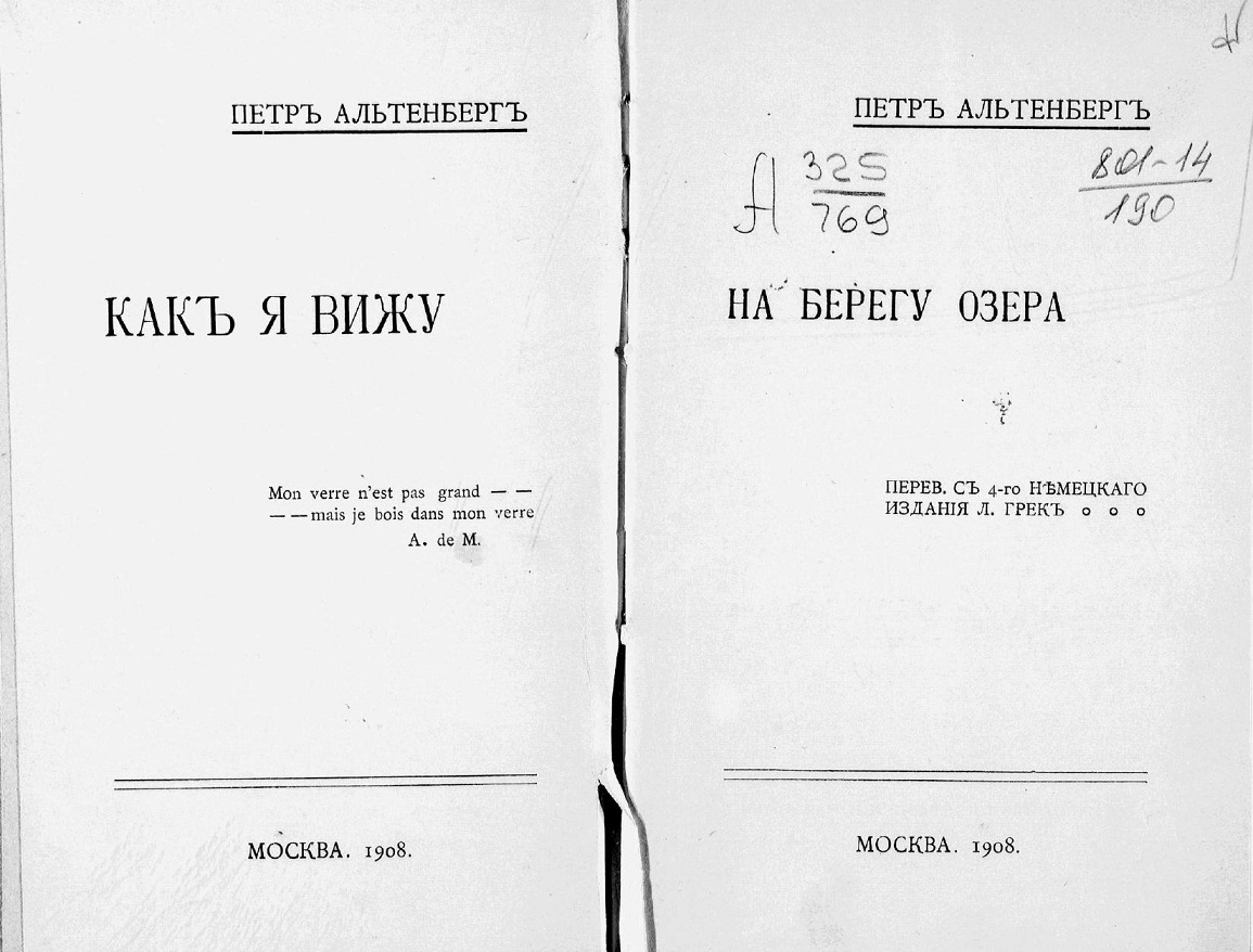 Как я вижу. На берегу озера