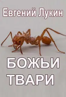 Божьи твари