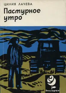 Пасмурное утро