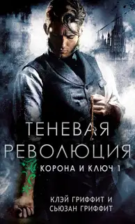 Теневая революция
