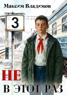 Не в этот раз. Книга 3
