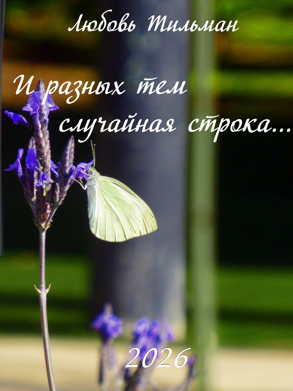 И разных тем случайная строка