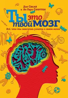 Ты это твой мозг: Всё, что ты захочешь узнать о своем мозге