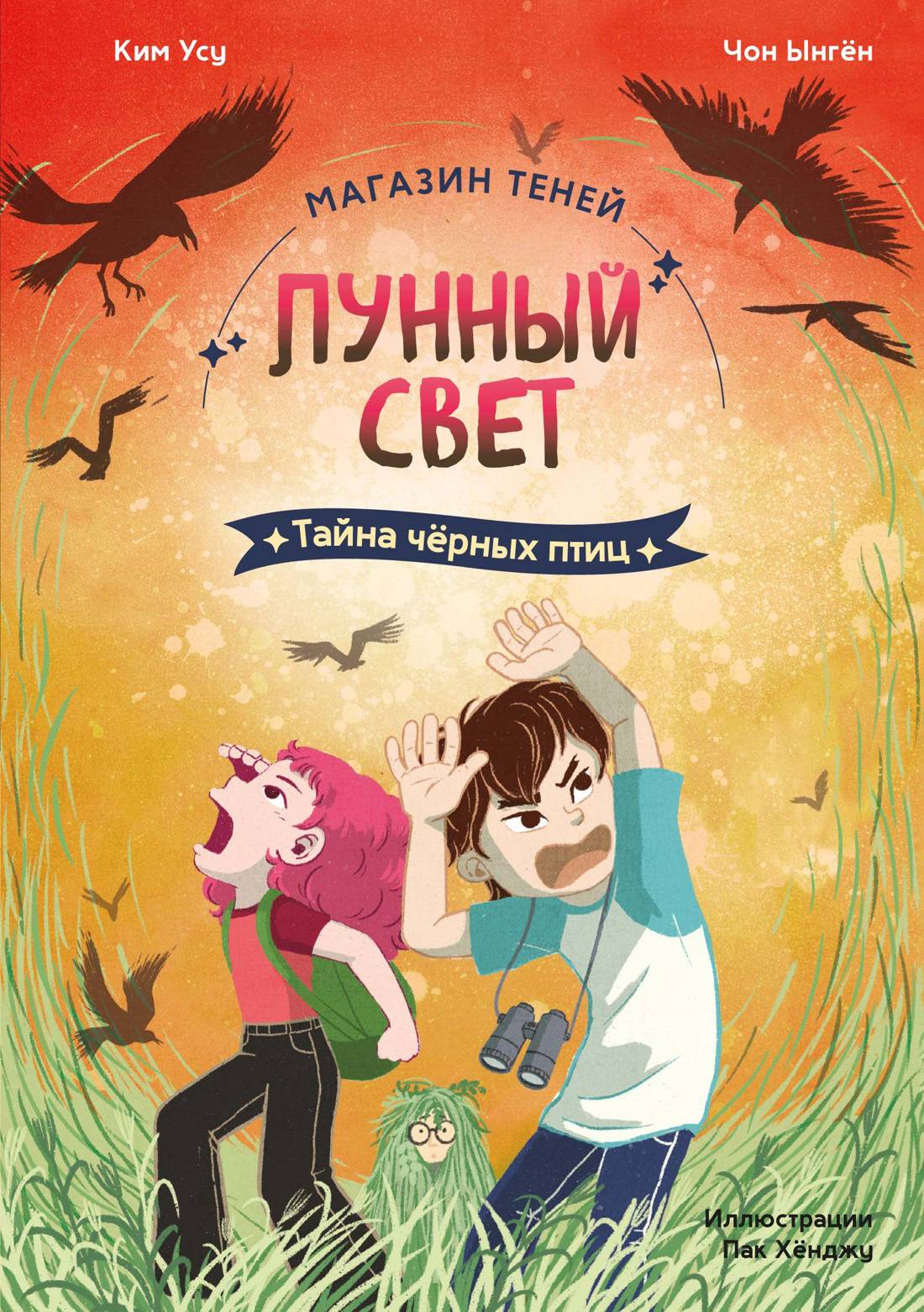 Тайна чёрных птиц