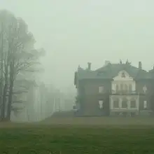 В доме колдуна.
