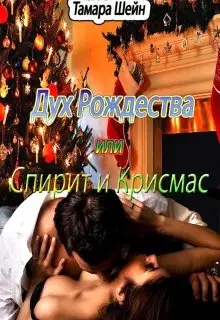 Дух Рождества или Спирит и Крисмас