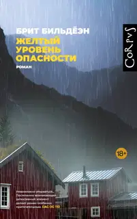 Желтый уровень опасности